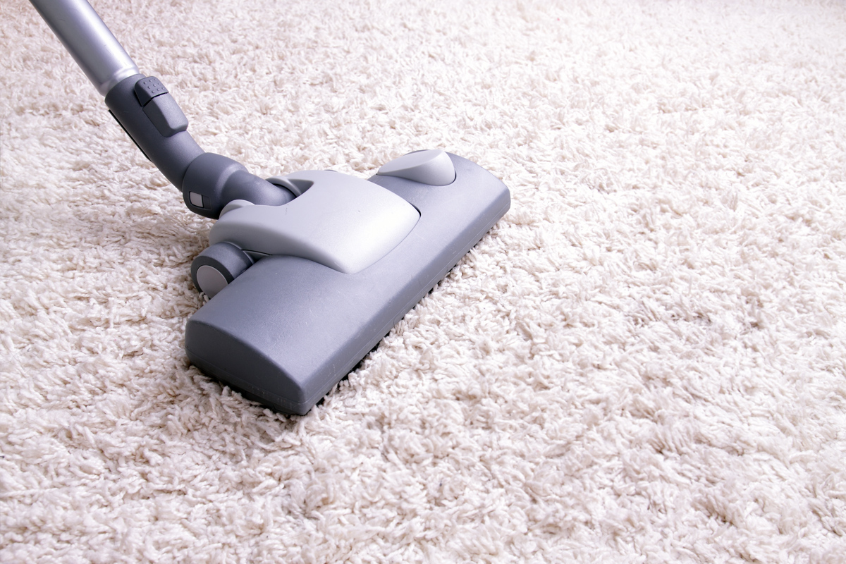 Comment nettoyer un tapis sans faire de bêtise ! - Blog BUT